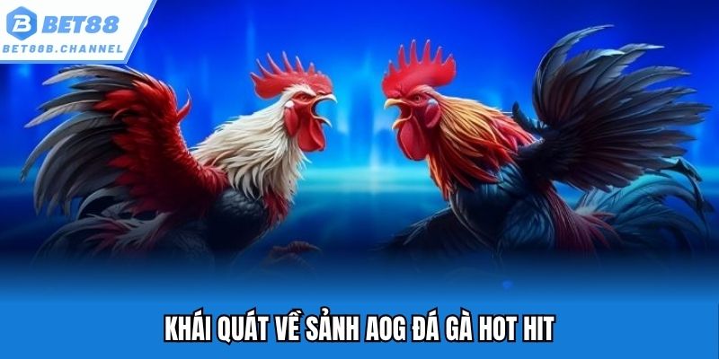 Khái quát về sảnh AOG đá gà hot hit