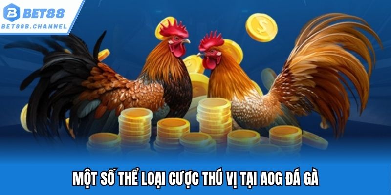 Một số thể loại cược thú vị tại AOG đá gà