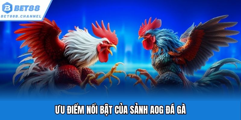 Ưu điểm nổi bật của sảnh AOG đá gà
