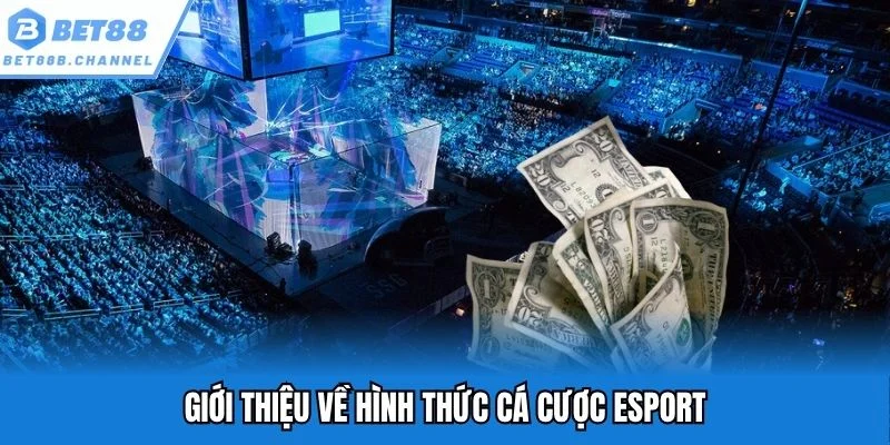 Giới thiệu về hình thức cá cược esport