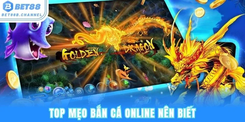 Tổng hợp mẹo bắn cá online được chia sẻ bởi cao thủ
