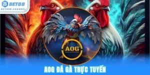 AOG đá gà bet88