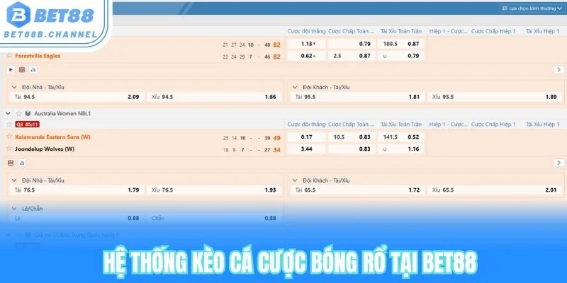 Điểm danh các kèo cá cược bóng rổ phổ biến