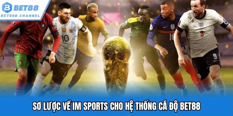 Sơ lược về IM Sports cho hệ thống cá độ Bet88