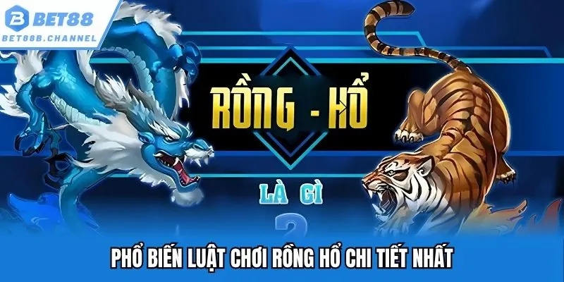 Phổ biến luật chơi rồng hổ chi tiết nhất